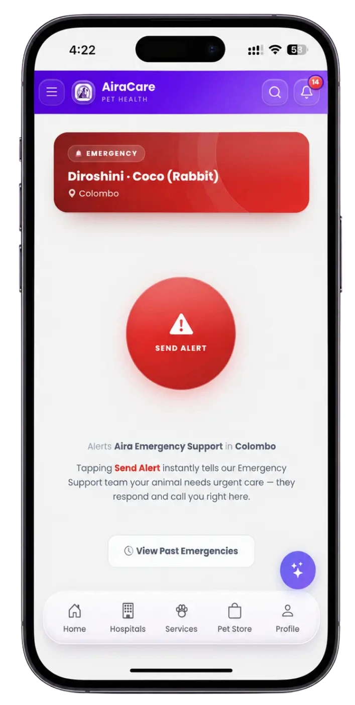 Emergency SOS