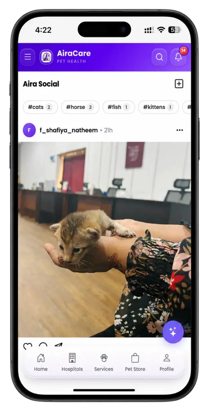 Pet Community